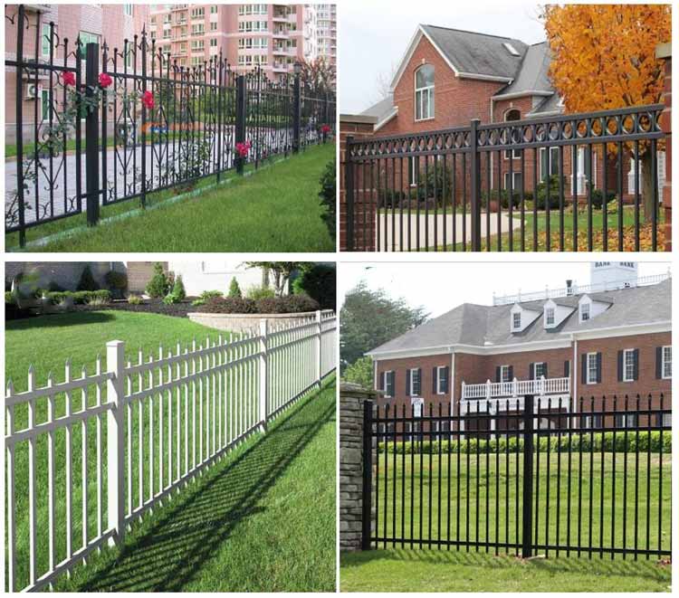 1736376174129988.jpg 4.2.jpg