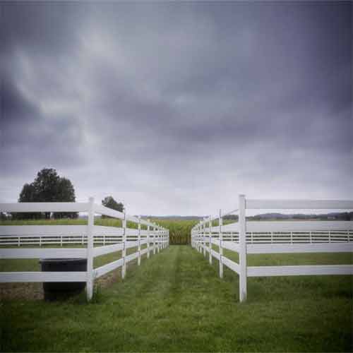 Why Split Rail Fences Are the Top Choice for Equestrian Properties